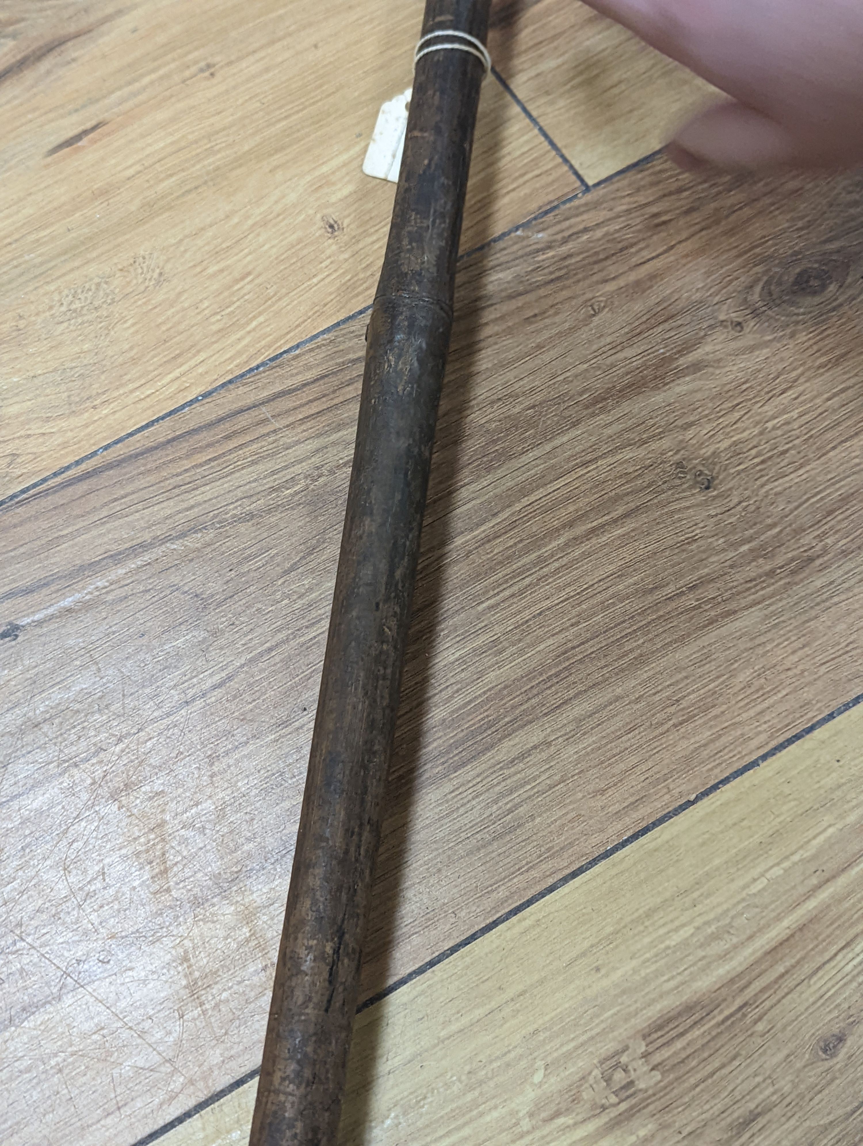 Two East Africa, Transvaal (Zululand) spears, 236cm